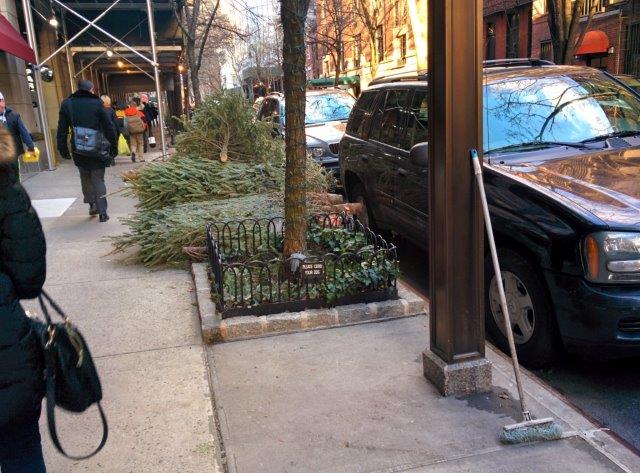 Die Reste von Weihnachten in New York