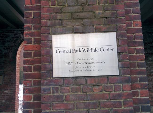 NaujoksVII.9.Wildlife