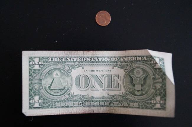 specht.Dollarschein