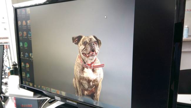 glassdoor.2.Vinny on personal pc desktop_kl (2)