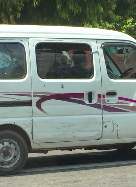 Ziegen werden in New Delhi schon mal auf dem Rücksitz transportiert