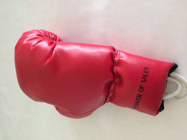 de-longhi_boxhandschuh_stephantahy