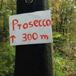 Kein Gerücht. Gab es wirklich. (Copyright: Alle Bilder Thomas Holzapfel)