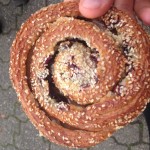 Eine von zwei Röntgenschnecken. Die zweite im nächsten Bild.