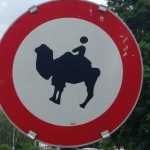 No Camelriding in this town!