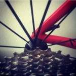 Gesunde Zähne, kraftvolles Treten.